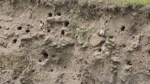 Bitlis’in gökyüzü renkli misafirlerini ağırlıyor