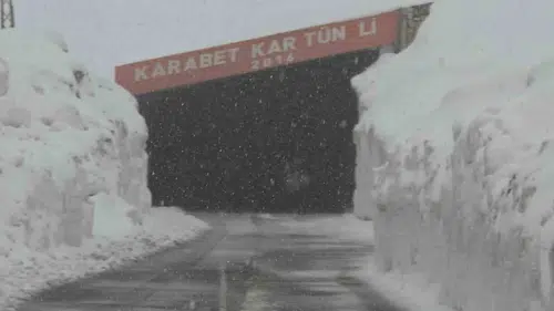 Van'da mevsim normallerine inat yüksek kesimlere kar yağdı