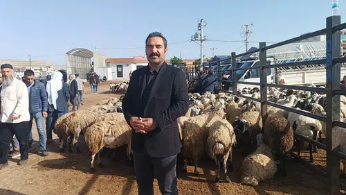 Şanlıurfa kurban pazarında fiyat savaşı başladı
