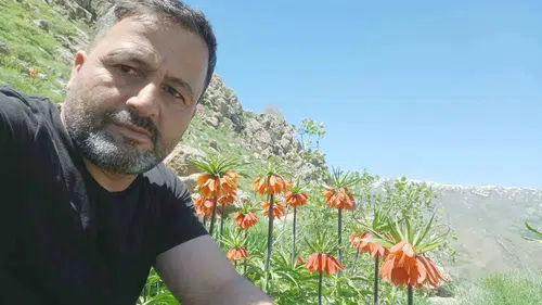 Hakkari dağlarında ağlayan gelinlerin mevsimi başladı