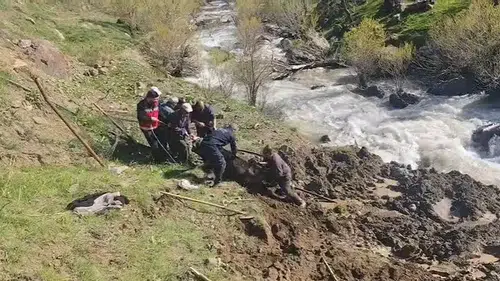 Hakkari Otluca köyünde bataklığa saplanan ineği ekipler kurtardı