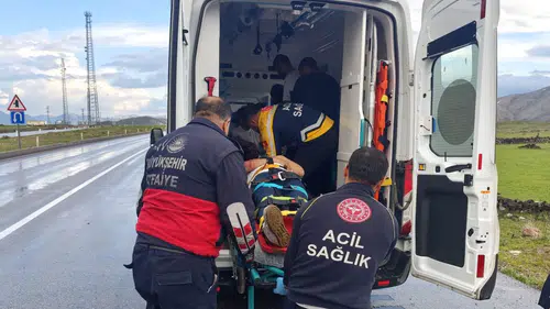 Çaldıran yolunda kamyonet şarampole uçtu