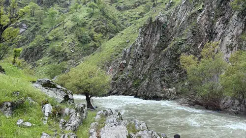 Muş’ta çaya düşen Gülsima Yıldız için yürütülen arama çalışmaları sonuçsuz kaldı