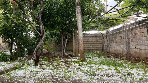 Nusaybin'de öğle saatlerinde aniden bastıran dolu hayatı durdurdu