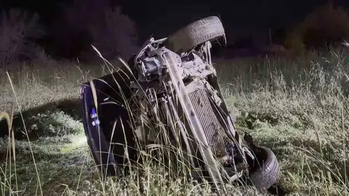 Elazığ yolunda yaban domuzu dehşeti 5 kişi yaralandı