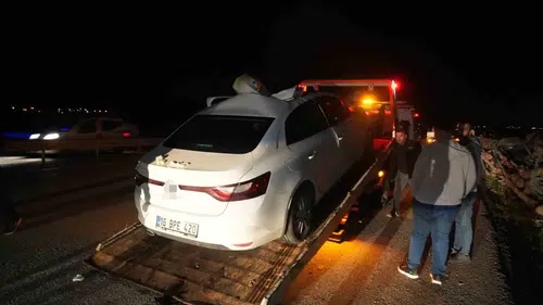 Muş Bingöl yolunda otomobil ata çarptı yedi kişi yaralandı