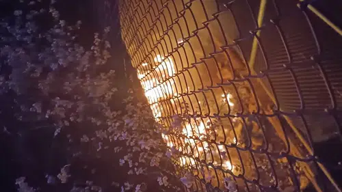 Van'da TOKİ konutları yakınında korkutan yangın