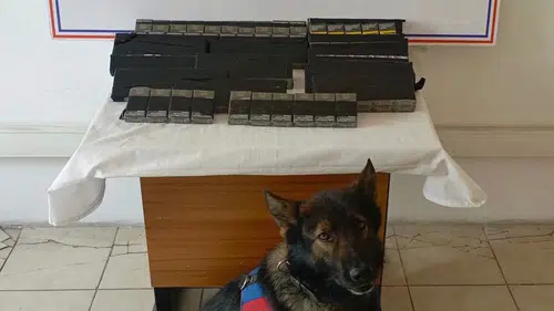 Ağrı Diyadin yolunda kaçak sigara operasyonu