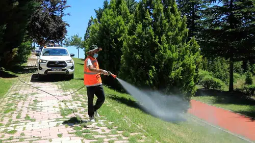 Elazığ sokaklarında haşereye karşı gece gündüz mesaisi