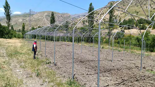 Şırnak seracılıkla yeni bir üretim merkezine dönüşüyor