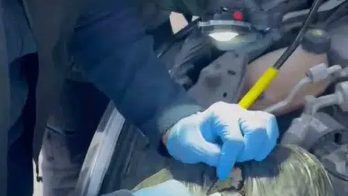 Tunceli yolundaki uyuşturucu sevkiyatına polis engeli