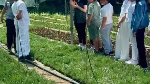 Elazığlı öğrenciler fidanların hikayesini yerinde öğrendi