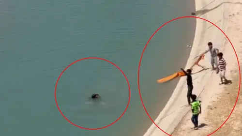 Batman'da sulama kanalında boğulma tehlikesi