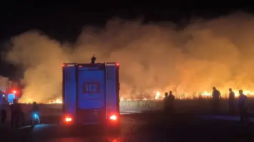 Diyarbakır Havalimanı yakınında korkutan anız yangını
