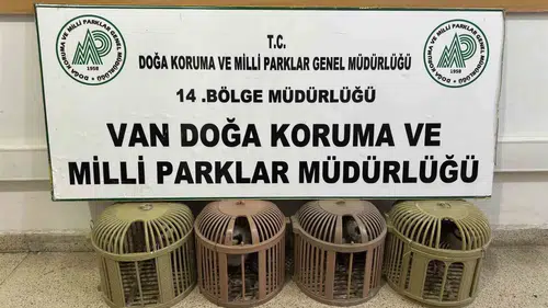 Van'da kaçak keklik avlayan sürücüye ağır fatura