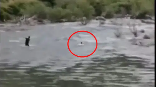 Bingöl’de serinlemek için girdiği çayda kaybolan adam aranıyor