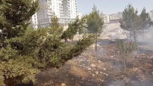 Mardin yangınlarla mücadele ediyor