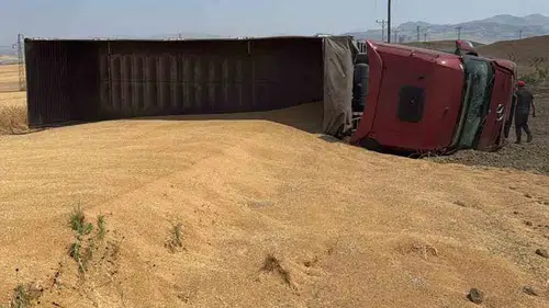 Kozluk yolunda buğday yüklü kamyon devrildi