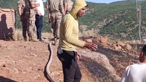 Siirt Baykan'da yangın paniği kontrol altına alındı