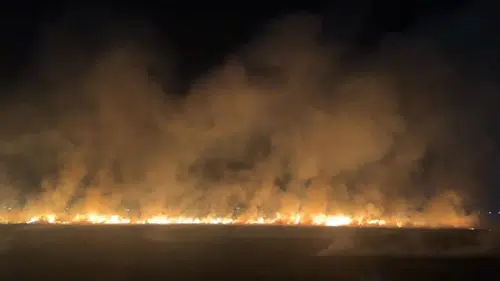 Bağlar'daki anız yangını geceyi gündüze çevirdi