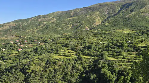 Şırnak'ta ormanlara giriş çıkışlar yaz boyunca yasaklandı