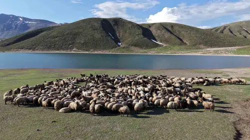 Göçer aileler zorlu yaz yolculuğunu Bitlis yaylalarında tamamladı