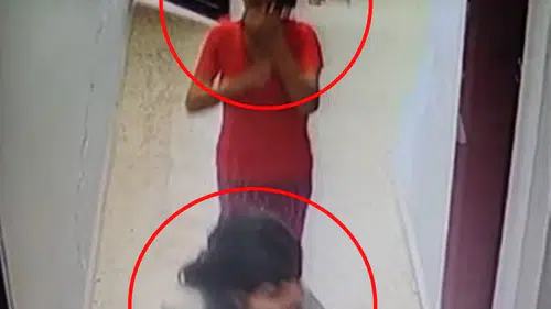 Mardin'de kapıları zorlayan iki kadın güvenlik kamerasında