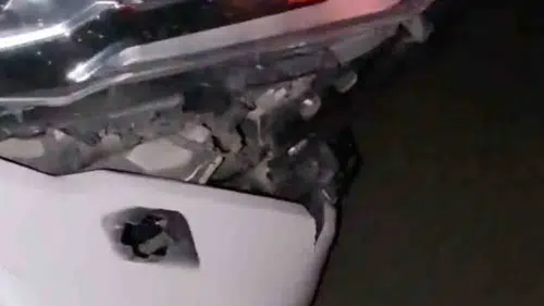 Elazığ yolunda gece yarısı domuz sürüsü kazası