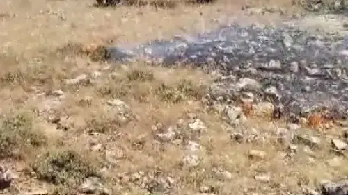 Gercüş'te tarlaları küle çevirecek yangın son anda durduruldu