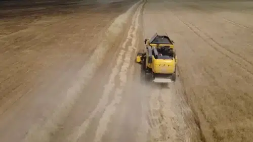 Siirt ovasında hasat zamanı Çiftçinin yüzü yağışlarla güldü