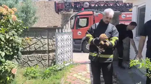 Batmanlı işçilerden duvar arasına sıkışan köpeğe şefkat eli