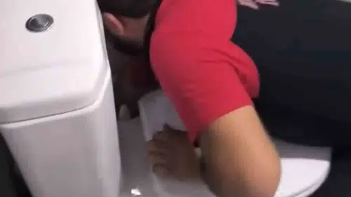 Siirt'te lavabo borusuna giren iki yavru kediyi itfaiye kurtardı
