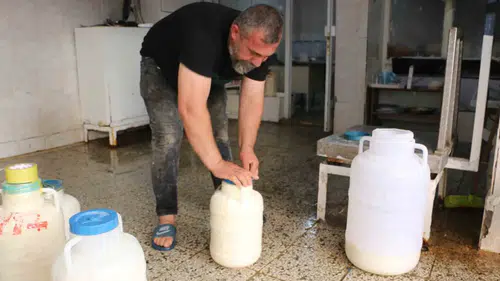 Diyarbakırlıların kışlık peynir telaşı başladı
