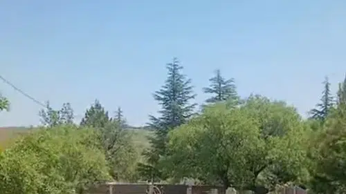 Harput'ta sıra dışı misafirler mezarlıklarda ortaya çıktı