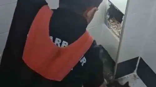 Diyarbakır'da duvara sıkışan kediye itfaiye operasyonu
