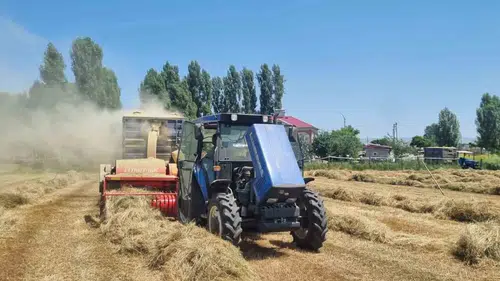 Muşlu çiftçilerin zorlu kış hazırlığı başladı