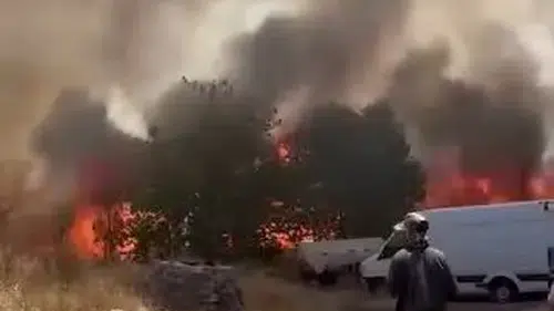 Diyarbakır Çarıklı'da büyük yangın ekili arazileri küle çevirdi
