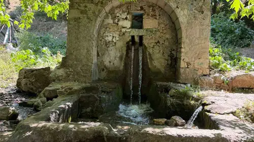 Ergani'deki asırlık çeşme kaderine terk edildi