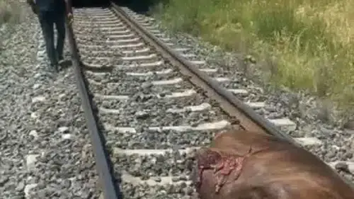 Elazığ Palu hattında tren kazası trafiği kilitledi