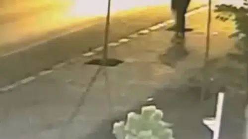 Patnos’ta yeşil alanlara zarar veren kişi yakalandı