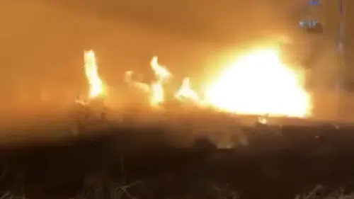 Nusaybin’de otluk alanda korkutan yangın