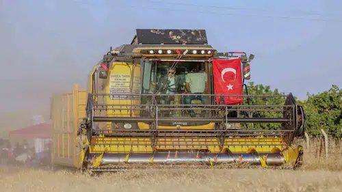 Mardin çiftçisi bereketli bir hasat dönemi yaşıyor