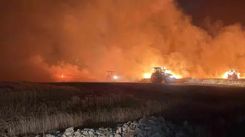 Mardin Mazıdağı'nda gece saatlerinde çıkan yangın tarlaları küle çevirdi