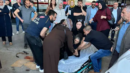 Elazığ otogarında yolcuya köpek saldırısı