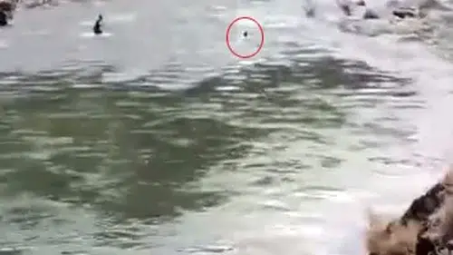 Bingöl’de çaya giren genç akıntıya kapılarak gözden kayboldu