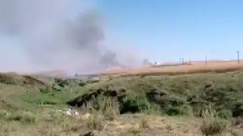 Silvan'da hasat zamanı 150 dönüm tarla küle döndü