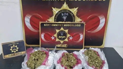 Siirt polisinden bir ayda geniş çaplı suç operasyonu