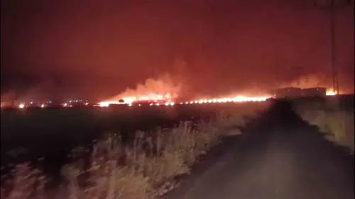 Silopi’de geceyi aydınlatan yangın 300 dönümü yuttu