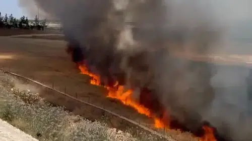 Suruç'ta 30 dönüm arpa tarlası küle döndü