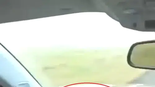 Diyarbakır'daki feci kazanın hız göstergesi dehşete düşürdü